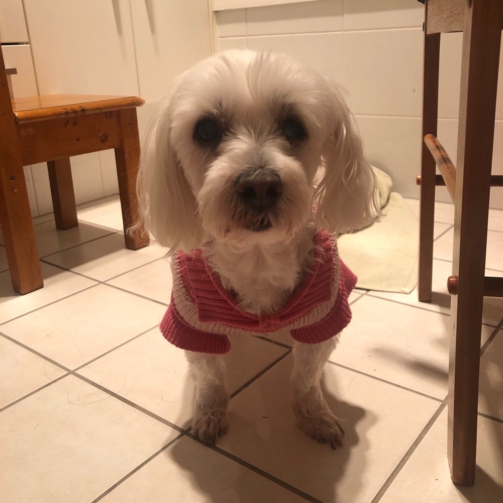 Meet your Posher, Libby